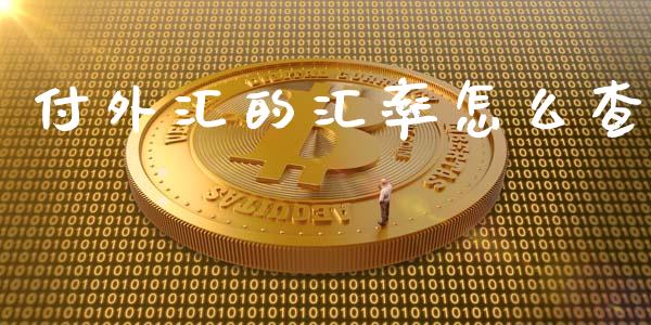 付外汇的汇率怎么查_https://www.gongyisiwang.com_股指期货_第1张