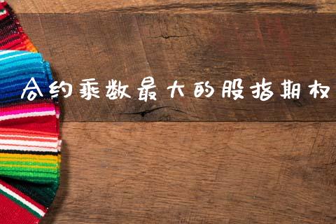 合约乘数最大的股指期权_https://www.gongyisiwang.com_广发期货手续费_第1张