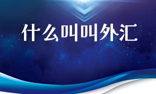 什么叫叫外汇_https://www.gongyisiwang.com_股指期货交易手续费_第1张