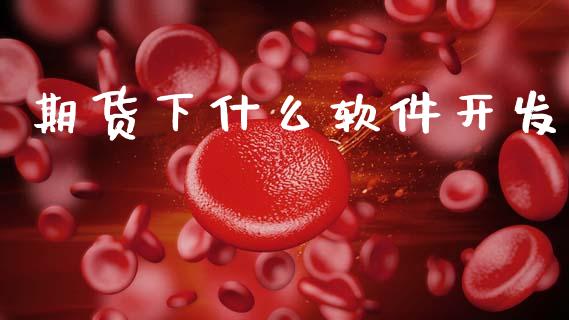 期货下什么软件开发_https://www.gongyisiwang.com_股指期货交易手续费_第1张
