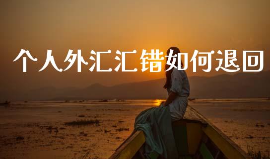 个人外汇汇错如何退回_https://www.gongyisiwang.com_股指期货_第1张
