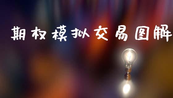 期权模拟交易图解_https://www.gongyisiwang.com_期货公司手续费排名_第1张