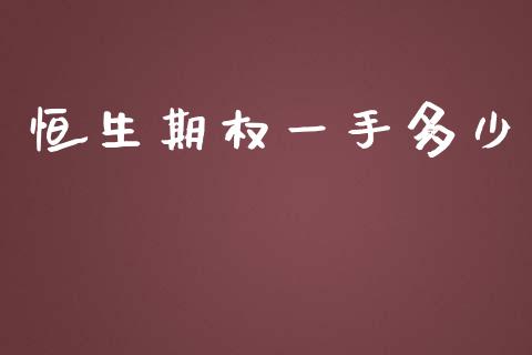 恒生期权一手多少_https://www.gongyisiwang.com_股指期货_第1张