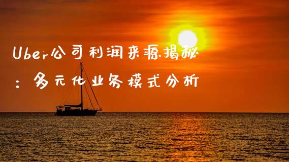 Uber公司利润来源揭秘：多元化业务模式分析_https://www.gongyisiwang.com_广发期货手续费_第1张