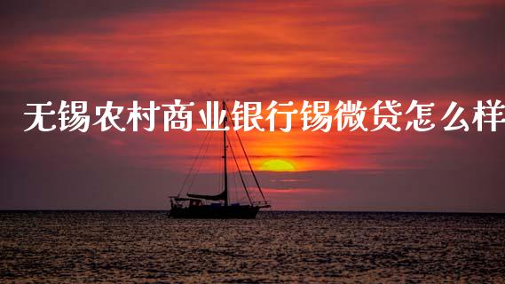 无锡农村商业银行锡微贷怎么样_https://www.gongyisiwang.com_焦炭期货手续费_第1张