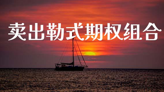 卖出勒式期权组合_https://www.gongyisiwang.com_股指期货交易手续费_第1张