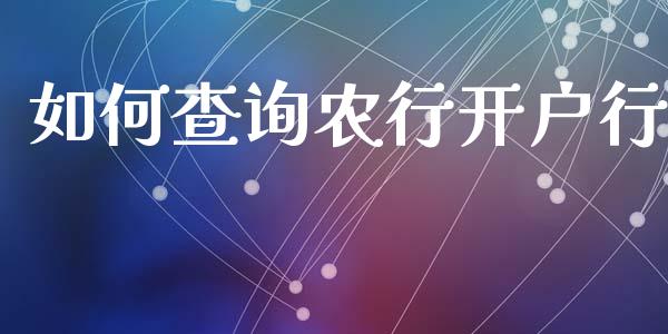 如何查询农行开户行_https://www.gongyisiwang.com_原油期货_第1张