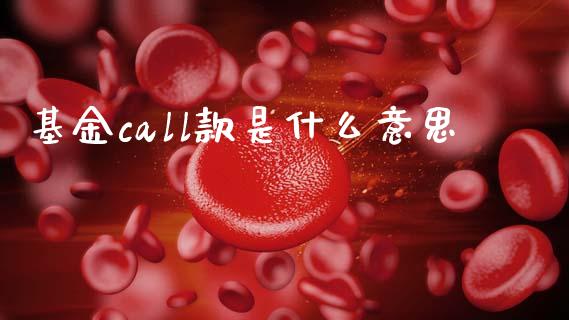 基金call款是什么意思_https://www.gongyisiwang.com_焦炭期货手续费_第1张