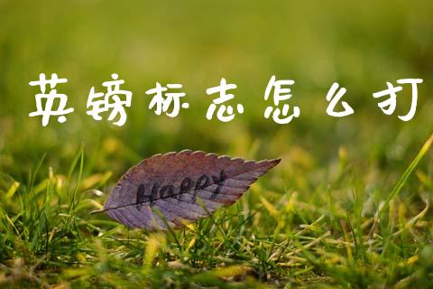 英镑标志怎么打_https://www.gongyisiwang.com_恒指期货_第1张