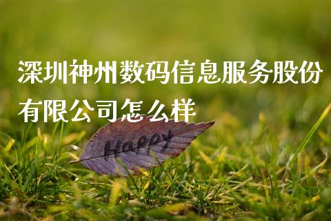 深圳神州数码信息服务股份有限公司怎么样_https://www.gongyisiwang.com_股指期货交易手续费_第1张