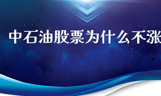 中石油股票为什么不涨_https://www.gongyisiwang.com_道指_第1张