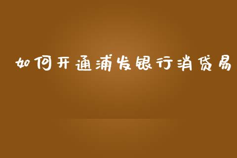 如何开通浦发银行消贷易_https://www.gongyisiwang.com_道指_第1张