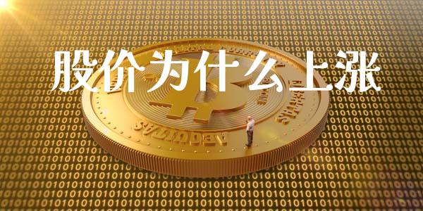 股价为什么上涨_https://www.gongyisiwang.com_焦炭期货手续费_第1张
