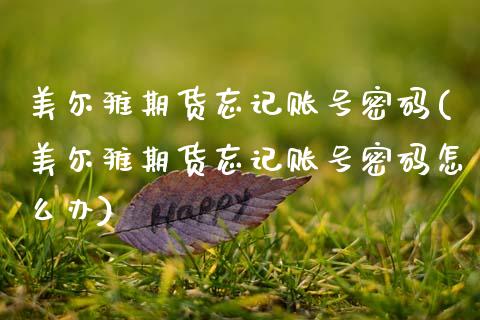 美尔雅期货忘记账号密码(美尔雅期货忘记账号密码怎么办)_https://www.gongyisiwang.com_焦炭期货手续费_第1张
