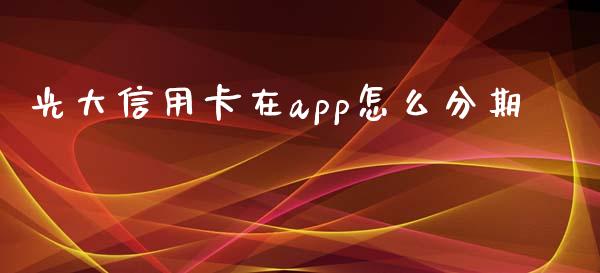 光大信用卡在app怎么分期_https://www.gongyisiwang.com_焦炭期货手续费_第1张