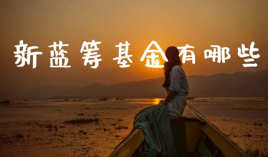 新蓝筹基金有哪些_https://www.gongyisiwang.com_道指_第1张