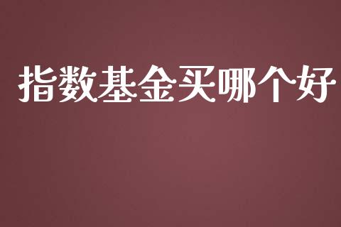 指数基金买哪个好_https://www.gongyisiwang.com_焦炭期货手续费_第1张