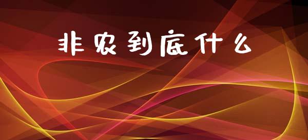 非农到底什么_https://www.gongyisiwang.com_股指期货交易手续费_第1张
