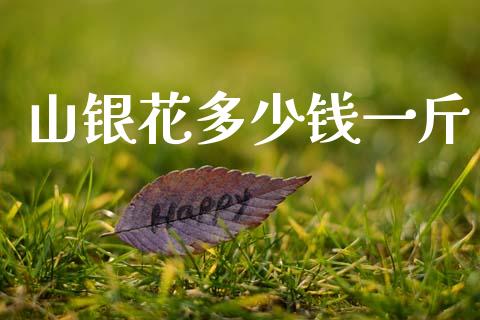 山银花多少钱一斤_https://www.gongyisiwang.com_期货公司手续费排名_第1张