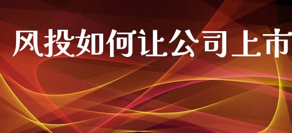 风投如何让公司上市_https://www.gongyisiwang.com_广发期货手续费_第1张