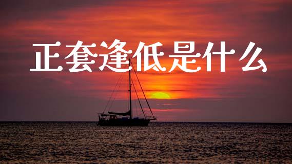 正套逢低是什么_https://www.gongyisiwang.com_恒指期货_第1张
