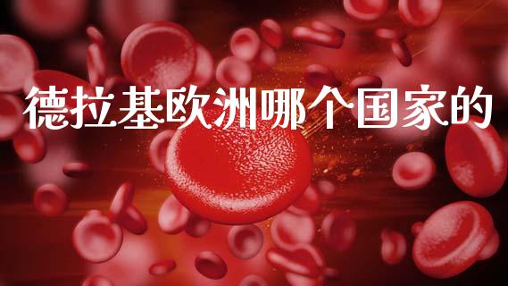 德拉基欧洲哪个国家的_https://www.gongyisiwang.com_股指期货_第1张
