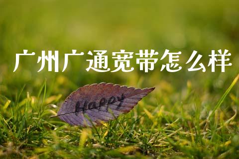 广州广通宽带怎么样_https://www.gongyisiwang.com_道指_第1张