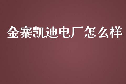 金寨凯迪电厂怎么样_https://www.gongyisiwang.com_股指期货交易手续费_第1张