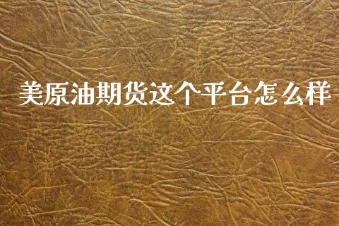 美原油期货这个平台怎么样_https://www.gongyisiwang.com_广发期货手续费_第1张