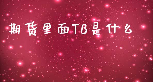 期货里面TB是什么_https://www.gongyisiwang.com_股指期货交易手续费_第1张
