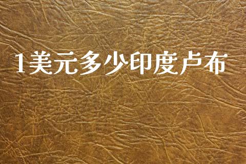1美元多少印度卢布_https://www.gongyisiwang.com_期货公司手续费排名_第1张
