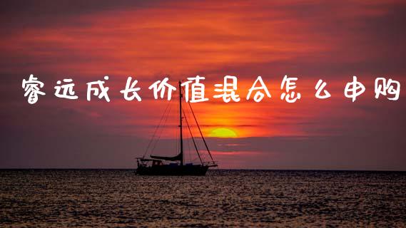 睿远成长价值混合怎么申购_https://www.gongyisiwang.com_股指期货交易手续费_第1张