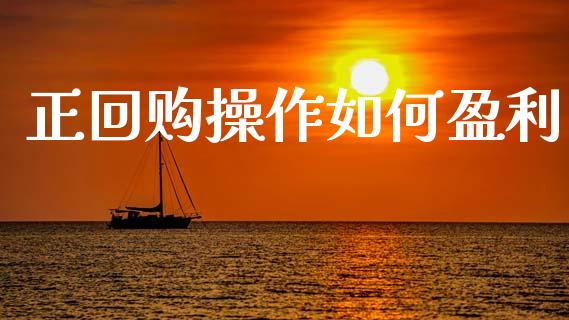 正回购操作如何盈利_https://www.gongyisiwang.com_期货公司手续费排名_第1张