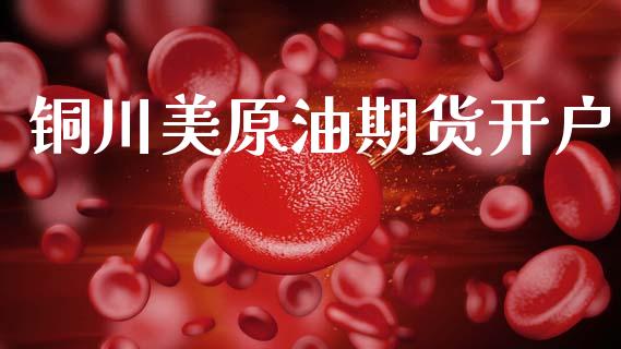 铜川美原油期货开户_https://www.gongyisiwang.com_期货公司手续费排名_第1张