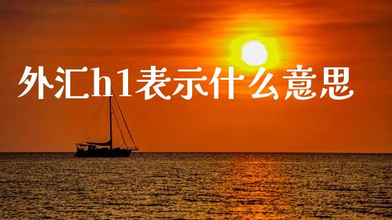 外汇h1表示什么意思_https://www.gongyisiwang.com_原油期货_第1张