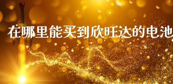 在哪里能买到欣旺达的电池_https://www.gongyisiwang.com_股指期货交易手续费_第1张
