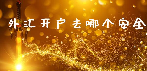 外汇开户去哪个安全_https://www.gongyisiwang.com_期货公司手续费排名_第1张