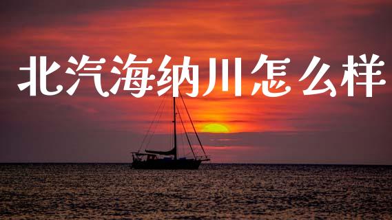 北汽海纳川怎么样_https://www.gongyisiwang.com_原油期货_第1张