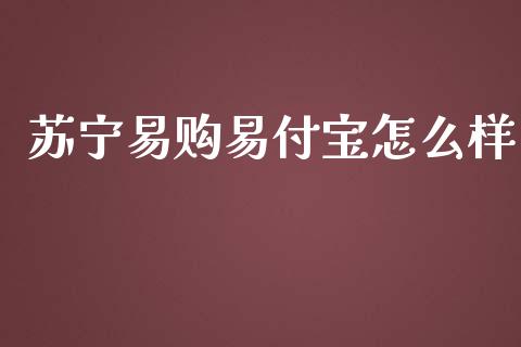 苏宁易购易付宝怎么样_https://www.gongyisiwang.com_焦炭期货手续费_第1张