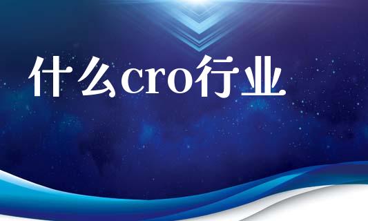 什么cro行业_https://www.gongyisiwang.com_广发期货手续费_第1张