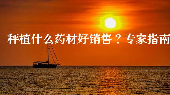 秤植什么药材好销售？专家指南_https://www.gongyisiwang.com_道指_第1张