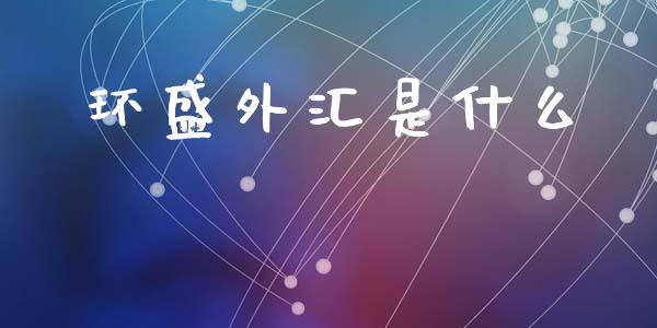 环盛外汇是什么_https://www.gongyisiwang.com_原油期货_第1张