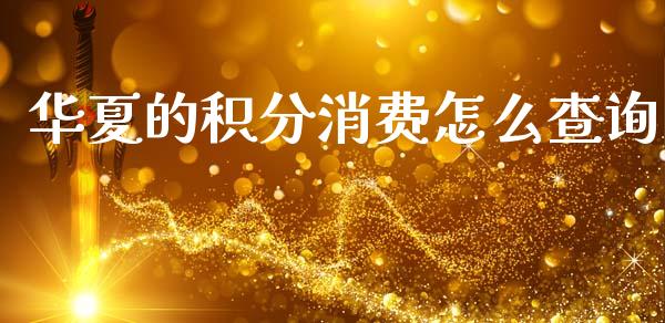 华夏的积分消费怎么查询_https://www.gongyisiwang.com_道指_第1张
