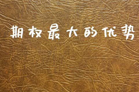 期权最大的优势_https://www.gongyisiwang.com_焦炭期货手续费_第1张