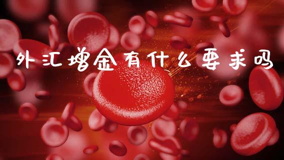 外汇增金有什么要求吗_https://www.gongyisiwang.com_恒指期货_第1张
