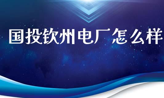 国投钦州电厂怎么样_https://www.gongyisiwang.com_焦炭期货手续费_第1张