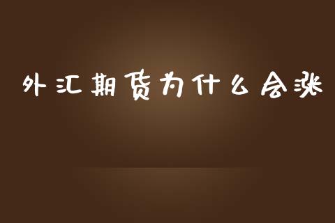 外汇期货为什么会涨_https://www.gongyisiwang.com_股指期货交易手续费_第1张