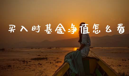 买入时基金净值怎么看_https://www.gongyisiwang.com_广发期货手续费_第1张