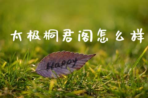 太极桐君阁怎么样_https://www.gongyisiwang.com_广发期货手续费_第1张