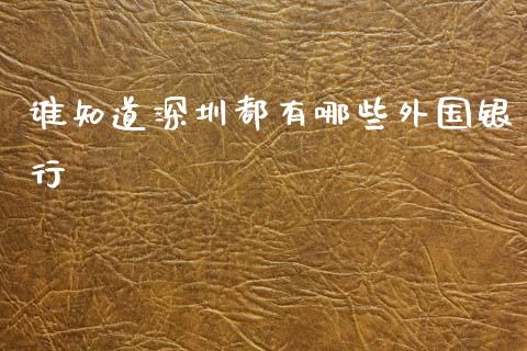 谁知道深圳都有哪些外国银行_https://www.gongyisiwang.com_股指期货交易手续费_第1张